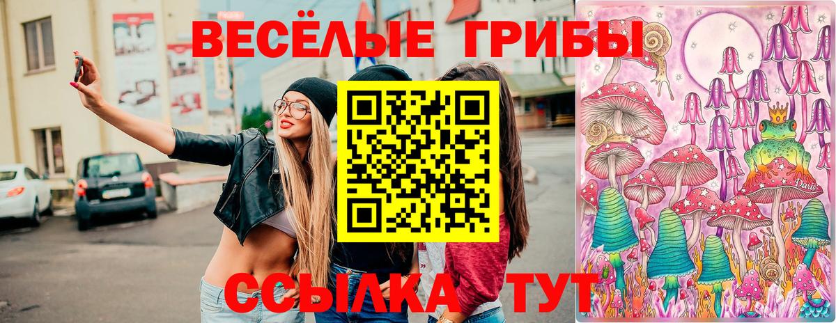 Элиста  Галлюциногенные грибы Cubensis  Вход с VPN 
